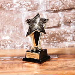 Статуэтка наградная "Звездный Час" с гравировкой